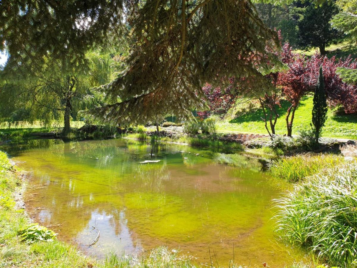 Be Me Black Forest Family Apartment -Zum Letzten G'Stehr Bad Rippoldsau-Schapbach Εξωτερικό φωτογραφία